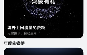 HarmonyOS NEXT 2024年度华为天际通出境榜单发布